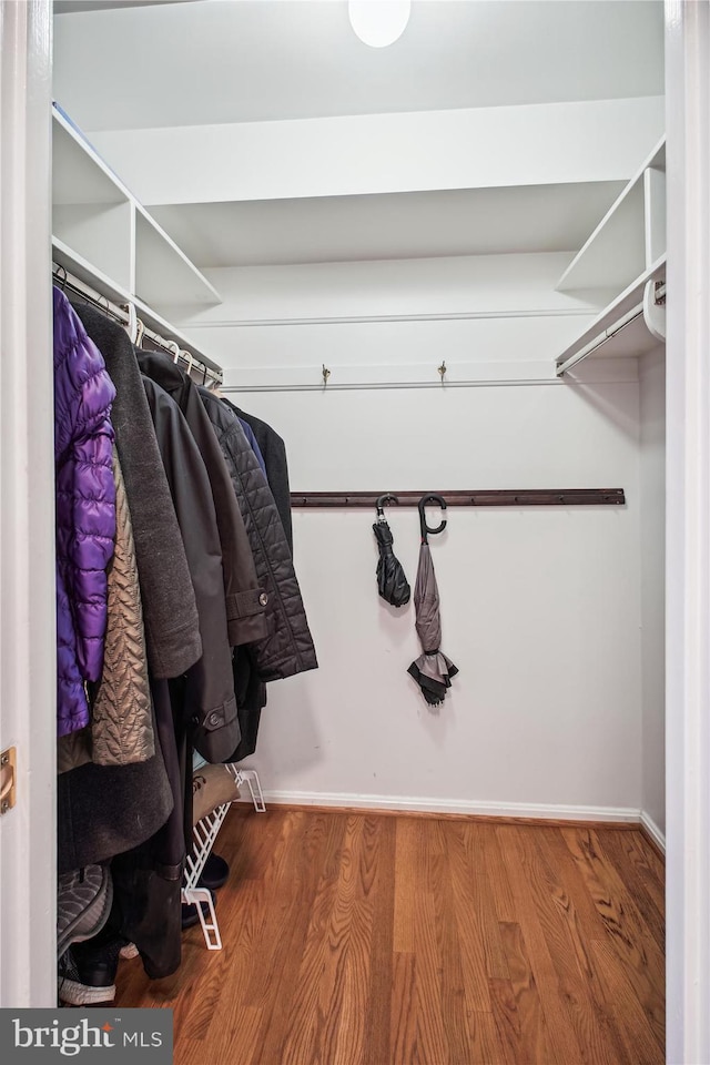 walk in closet featuring wood finished floors