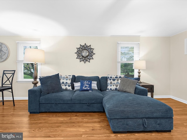 living room with wood finished floors, baseboards, and a wealth of natural light