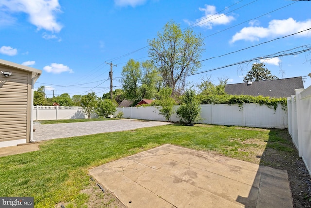 view of yard featuring a fenced backyard and a patio area