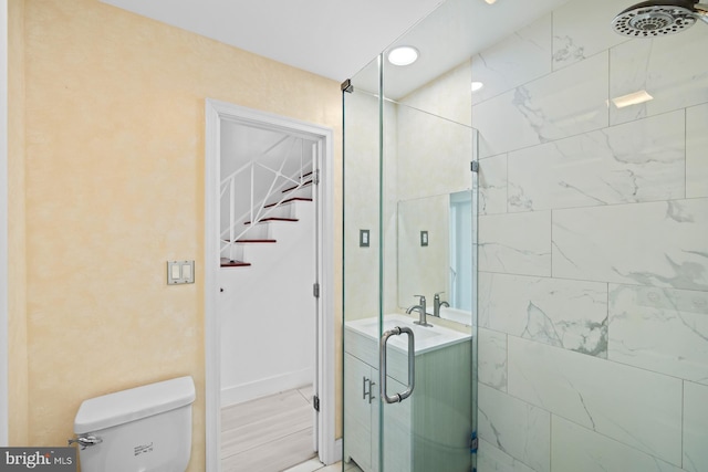 full bathroom featuring vanity, walk in shower, and toilet