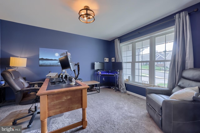 office space with baseboards and carpet floors