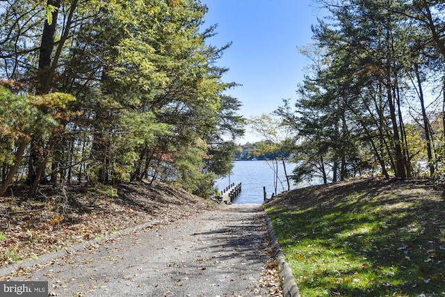water view featuring a boat dock