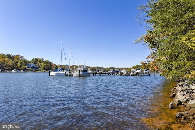dock featuring a water view
