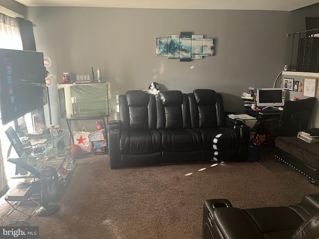 cinema room with carpet floors