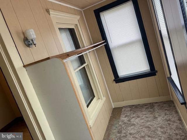 interior space featuring a healthy amount of sunlight, carpet floors, and baseboards