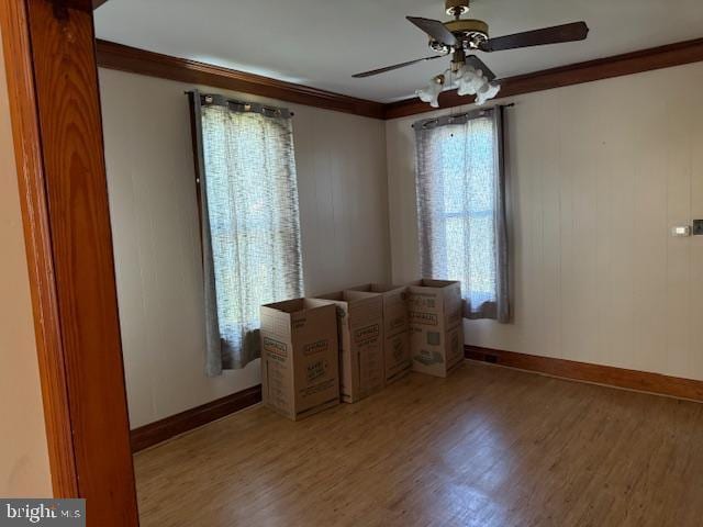 unfurnished office with ornamental molding, ceiling fan, and light wood-style flooring