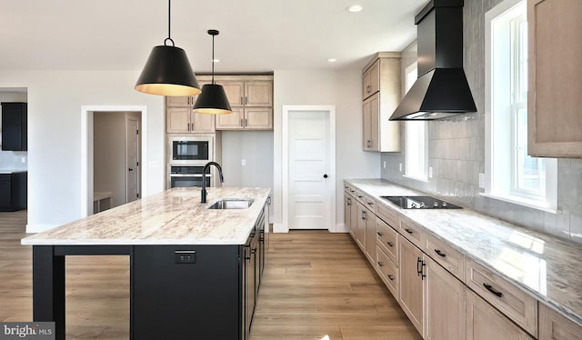 1999 N Fall Harvest Dr, Mechanicsburg, PA 17055 - kitchen with tasteful backsplash, wall chimney range hood, black appliances, light wood finished floors, and a sink