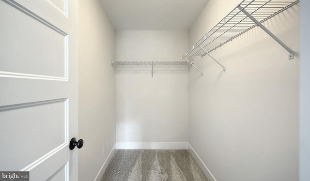 1999 N Fall Harvest Dr, Mechanicsburg, PA 17055 - walk in closet featuring carpet flooring