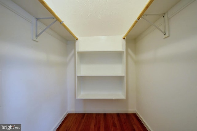 spacious closet featuring dark wood finished floors