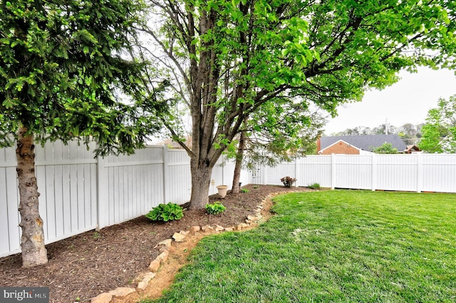 view of yard featuring a fenced backyard
