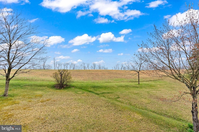 view of yard featuring a rural view