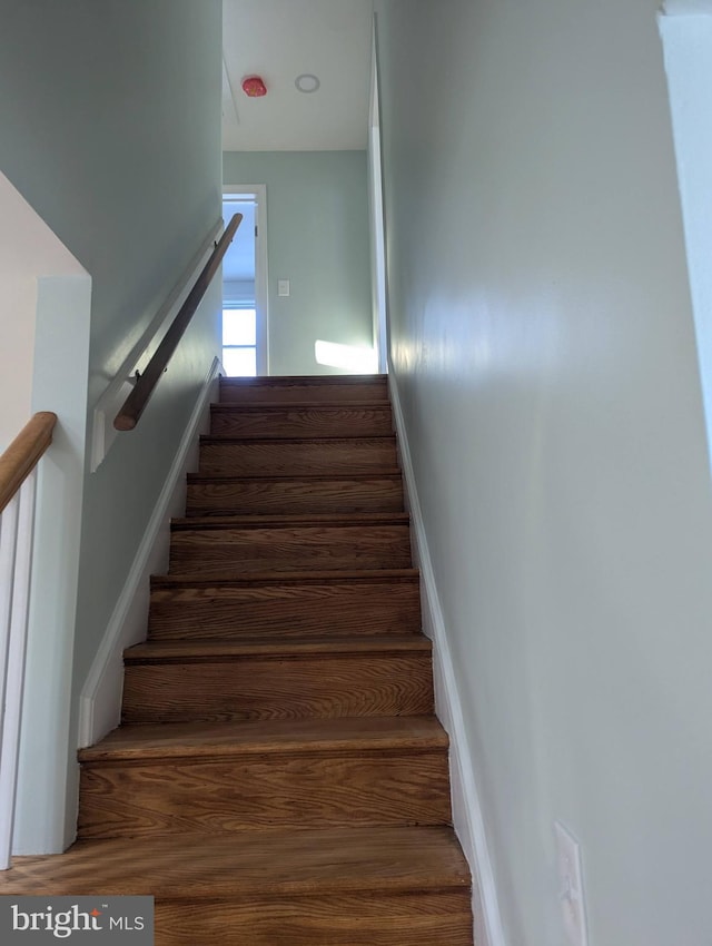 stairs featuring wood finished floors