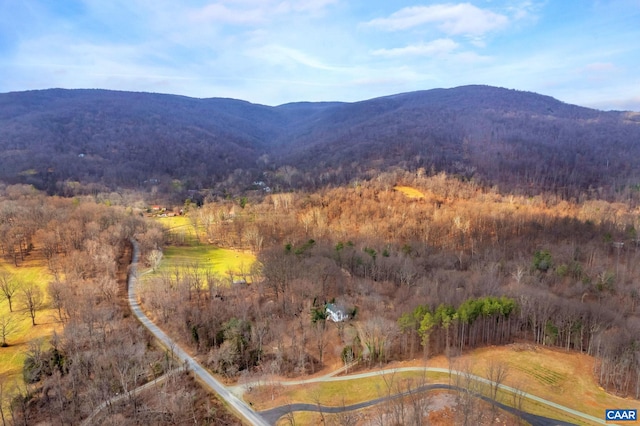 2005 Upper Stony Run Unit 10, Greenwood, VA 22943