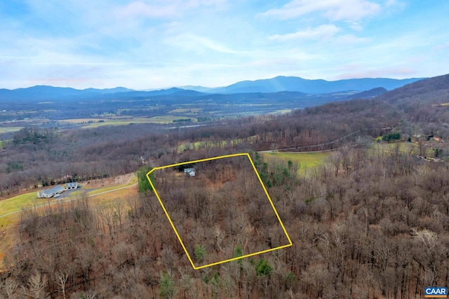 2005 Upper Stony Run Unit 10, Greenwood, VA 22943
