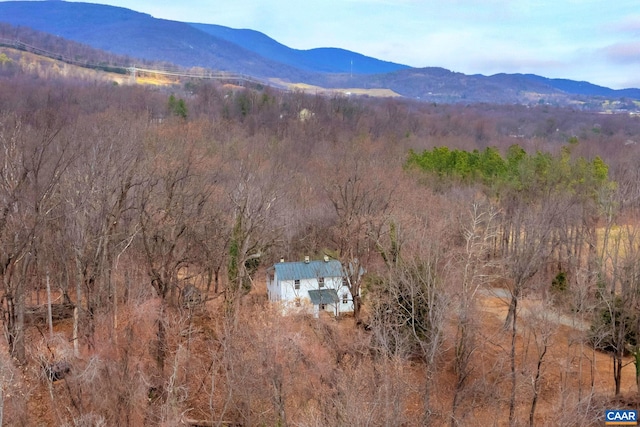 2005 Upper Stony Run Unit 10, Greenwood, VA 22943