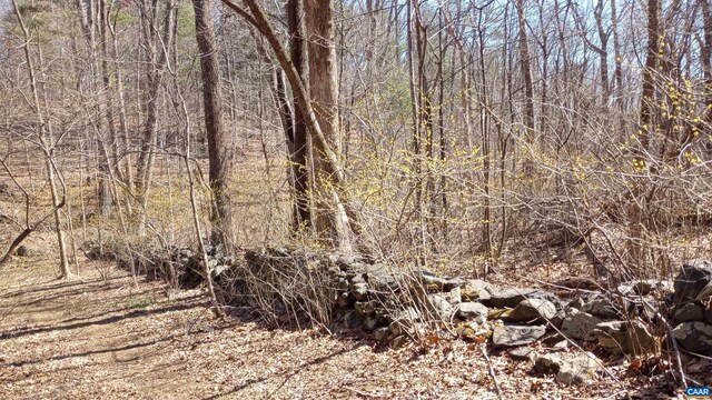 2005 Upper Stony Run Unit 10, Greenwood, VA 22943