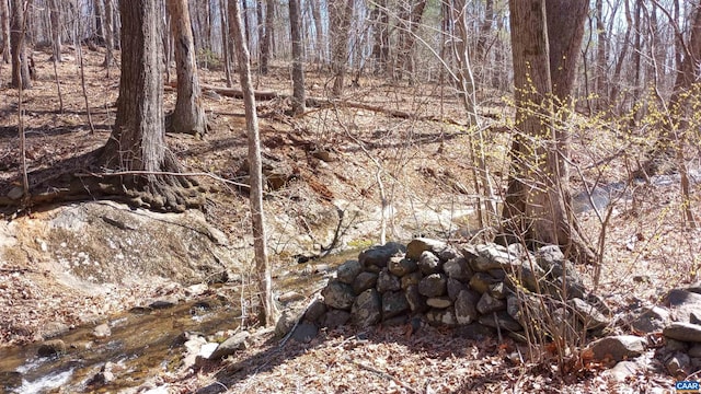 2005 Upper Stony Run Unit 10, Greenwood, VA 22943