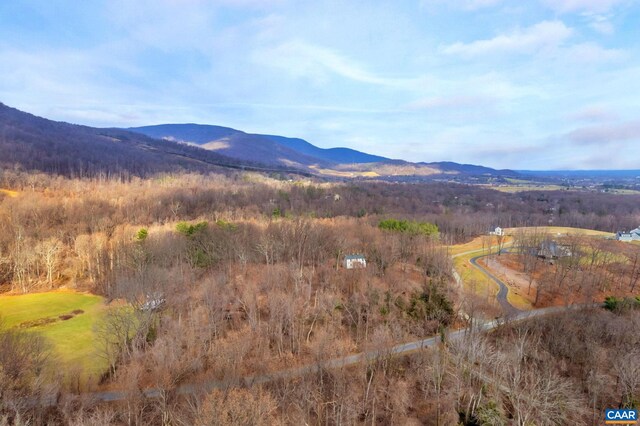 2005 Upper Stony Run Unit 10, Greenwood, VA 22943