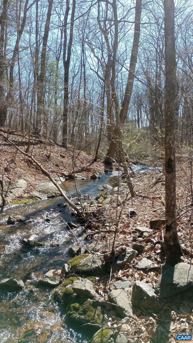 2005 Upper Stony Run Unit 10, Greenwood, VA 22943