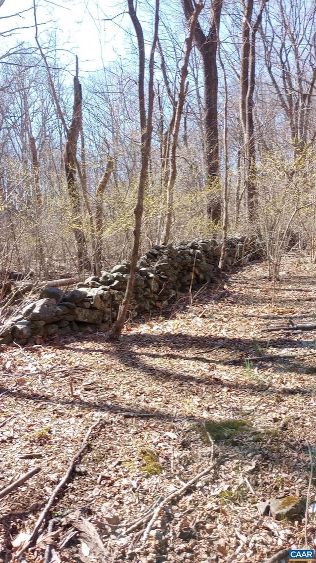 2005 Upper Stony Run Unit 10, Greenwood, VA 22943