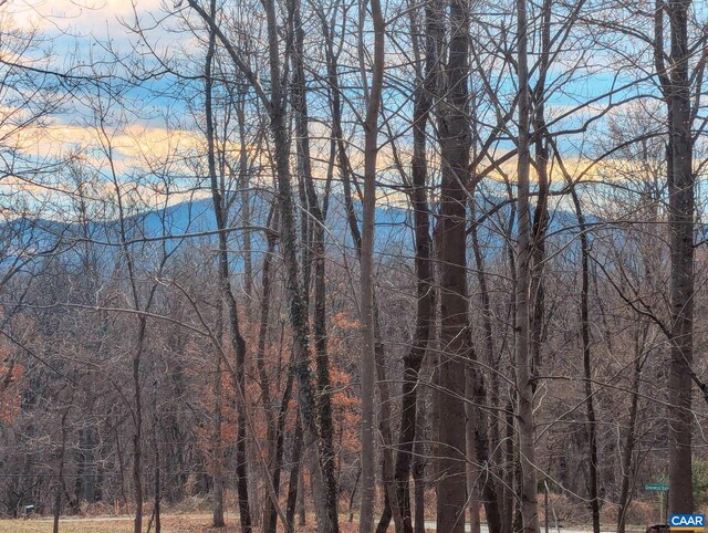 2005 Upper Stony Run Unit 10, Greenwood, VA 22943