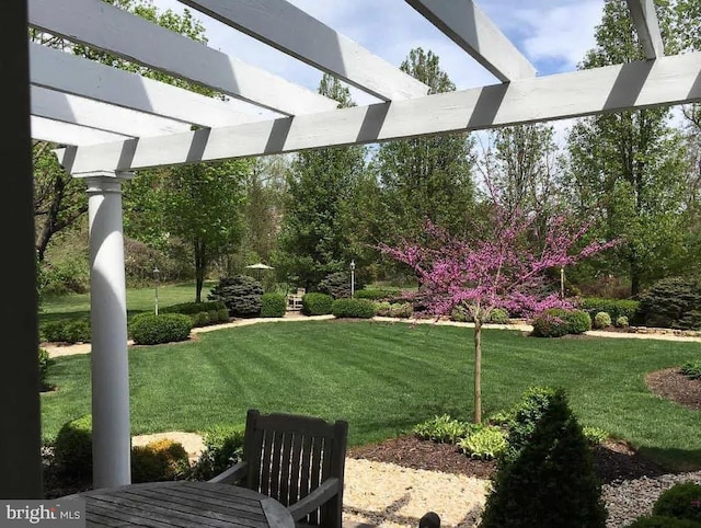 view of yard with a pergola