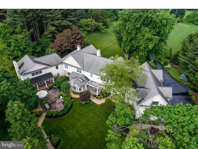 bird's eye view