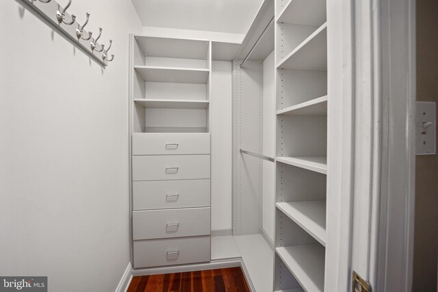 walk in closet featuring dark wood-style flooring