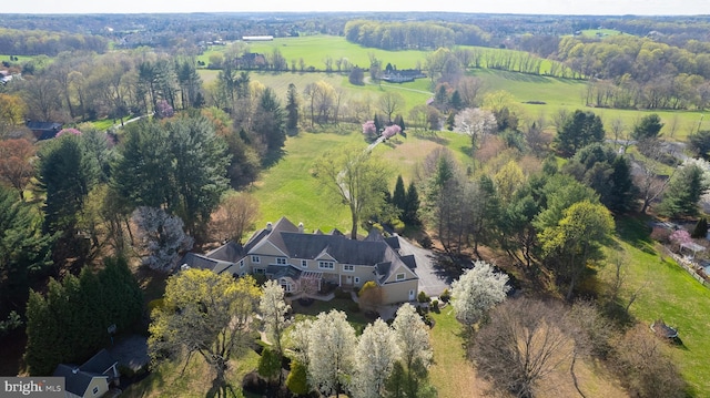 bird's eye view