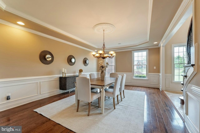18102 Eaglesham Ct, Leesburg, VA 20175 - dining room with a chandelier, dark wood-style flooring, wainscoting, ornamental molding, and a tray ceiling