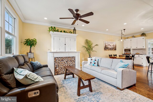 810 Macsherry Dr, Arnold, MD 21012 - living area with a wealth of natural light, wood finished floors, crown molding, and ceiling fan