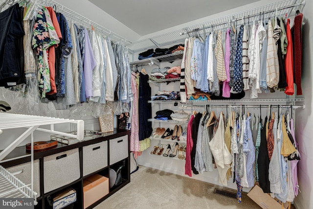 24 W Shakespeare Dr, Middletown, DE 19709 - spacious closet with carpet flooring