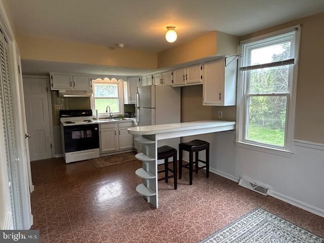 1095 Senseny Rd, Berryville, VA 22611 - kitchen with electric range, visible vents, a sink, a peninsula, and under cabinet range hood