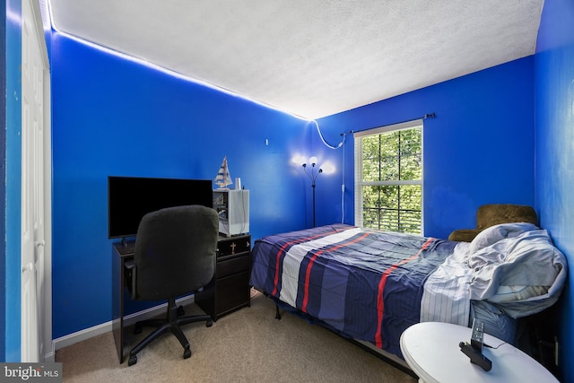 458 Silver Ct, Westminster, MD 21158 - carpeted bedroom with a textured ceiling