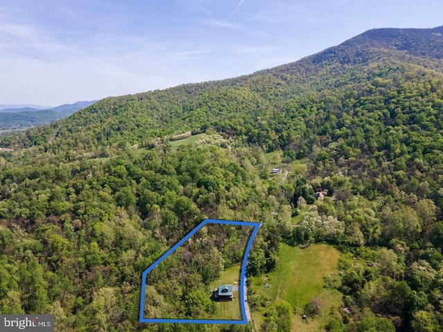 drone / aerial view featuring a view of trees and a mountain view