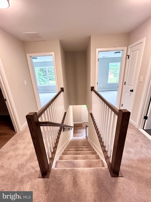 4655 Mountain Rd, Pasadena, MD 21122 - stairs featuring carpet flooring and baseboards