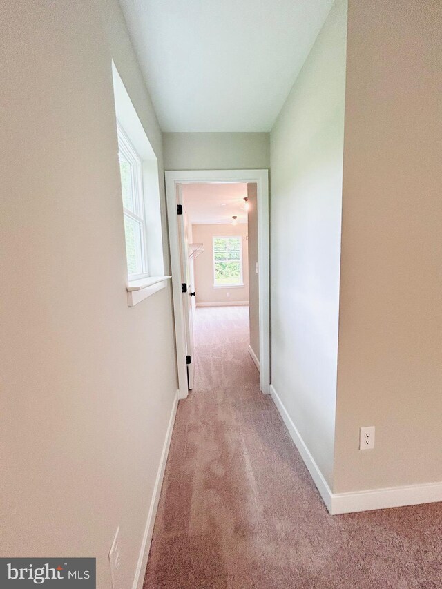 4655 Mountain Rd, Pasadena, MD 21122 - hall with carpet floors and baseboards