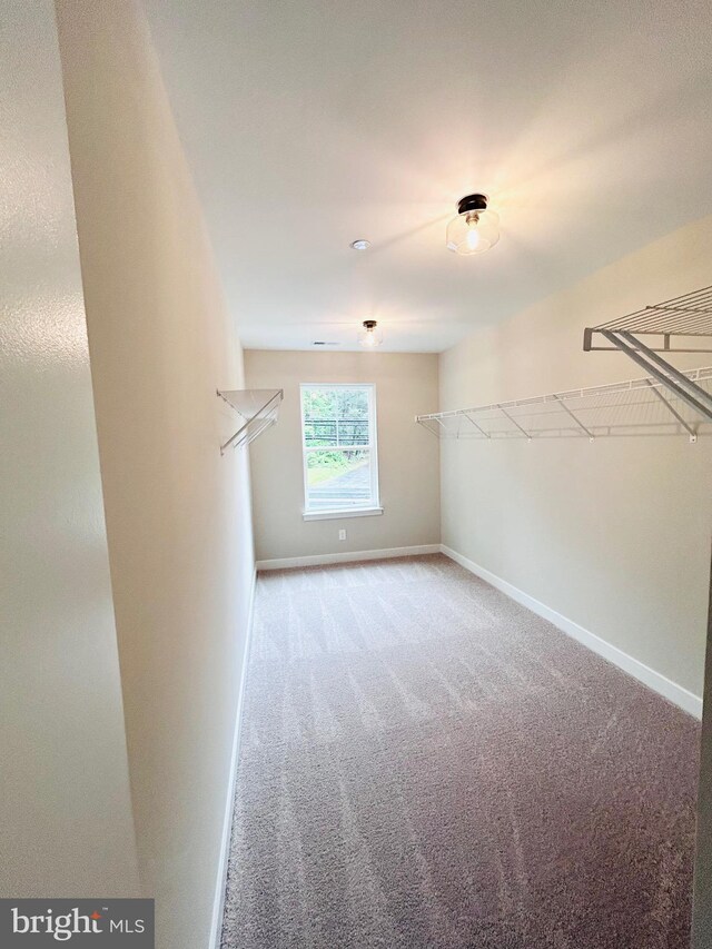 4655 Mountain Rd, Pasadena, MD 21122 - spacious closet with carpet floors