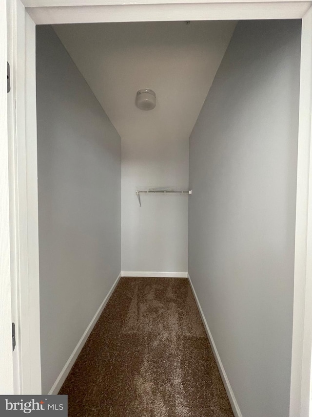 42480 Rockrose Sq Unit 202, Brambleton, VA 20148 - hall featuring carpet floors, baseboards, and lofted ceiling