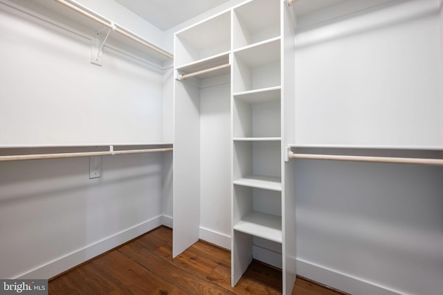spacious closet featuring wood finished floors