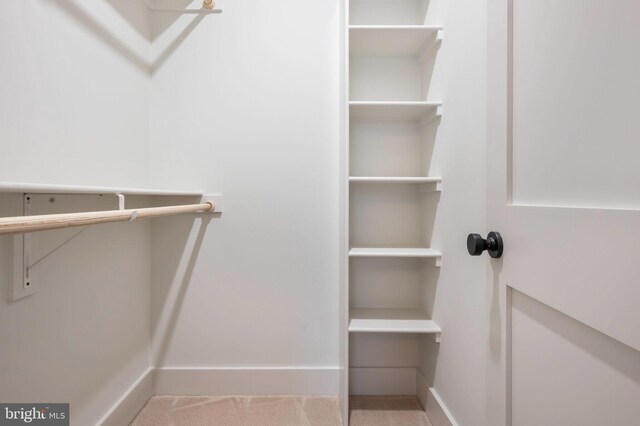 walk in closet with carpet