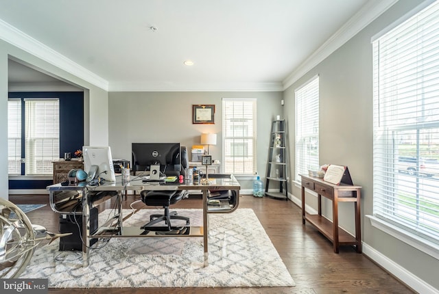 office space featuring ornamental molding, baseboards, and dark wood-style floors