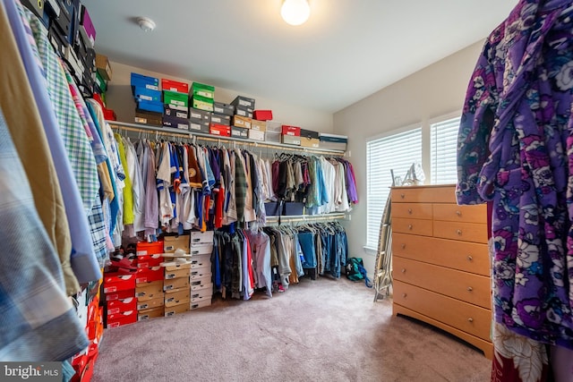walk in closet featuring carpet