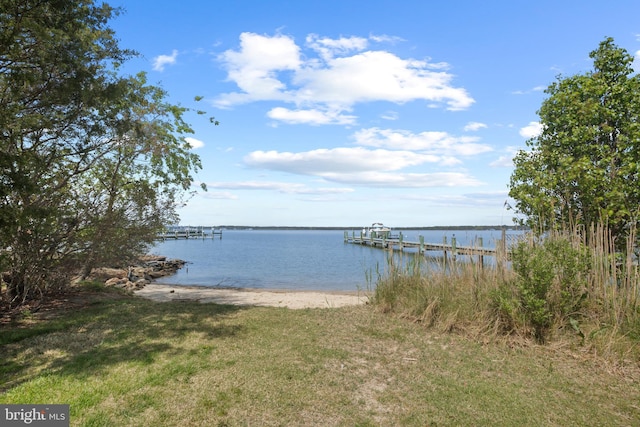 dock area with a water view