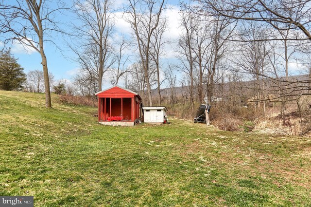 view of yard with an outdoor structure and a shed
