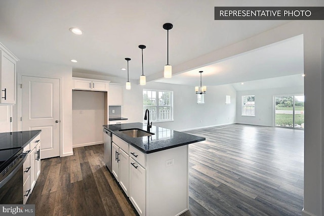 346 Acer Ave Lot 728B, State College, PA 16803 - kitchen with a sink, black range with electric stovetop, dark wood-style floors, and stainless steel dishwasher