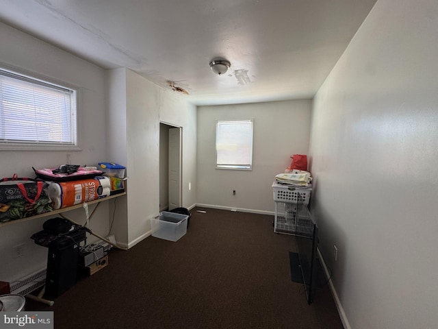 5259 N 5th St, Philadelphia, PA 19120 - misc room featuring dark carpet, a wealth of natural light, and baseboards