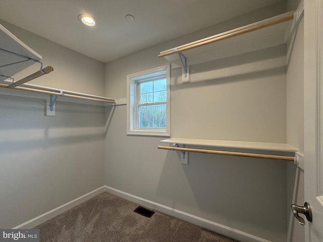 9871 La Plata Pkwy, La Plata, MD 20646 - spacious closet featuring carpet and visible vents