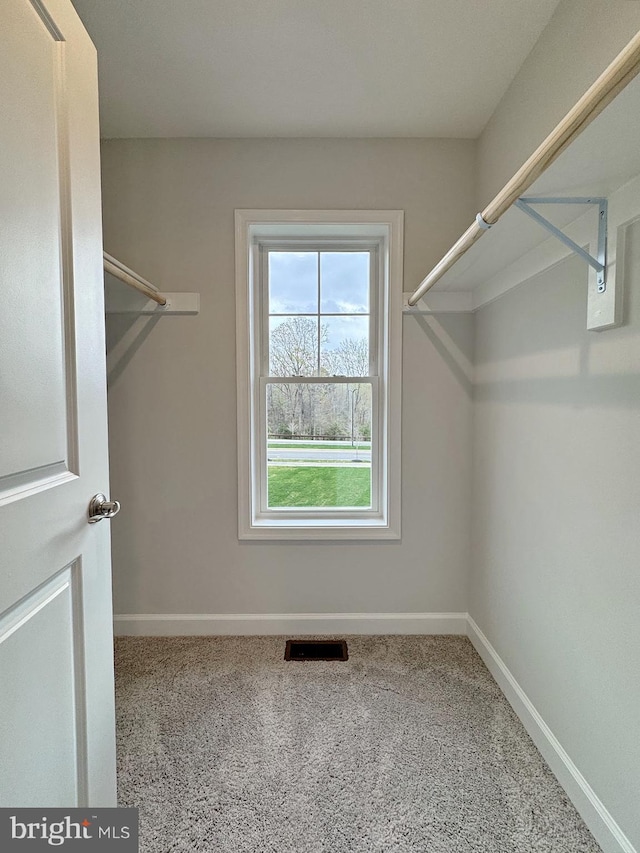 9871 La Plata Pkwy, La Plata, MD 20646 - spacious closet featuring carpet and visible vents