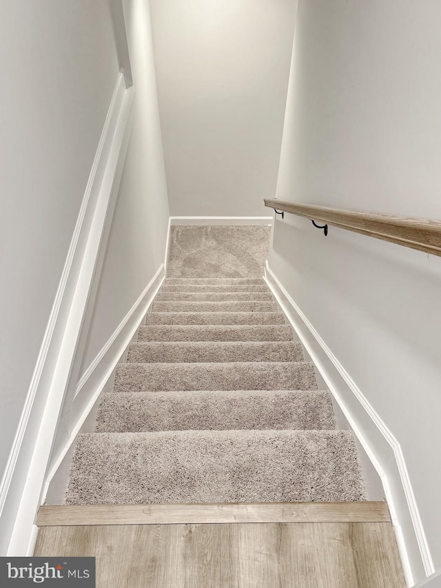 9871 La Plata Pkwy, La Plata, MD 20646 - stairs featuring carpet flooring and baseboards